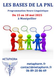 Affiche PNL MAI 2025